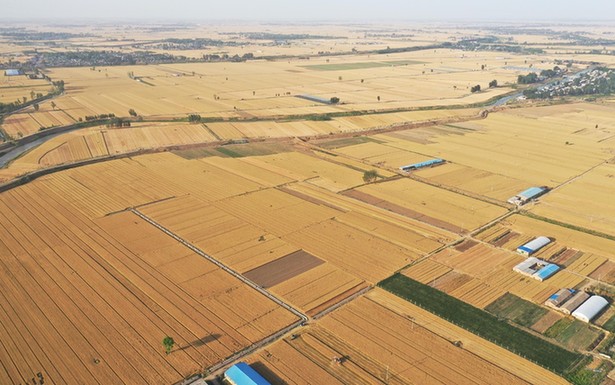 �r���Ո����rƽ���£��Ї��Zʳ���ŏ������