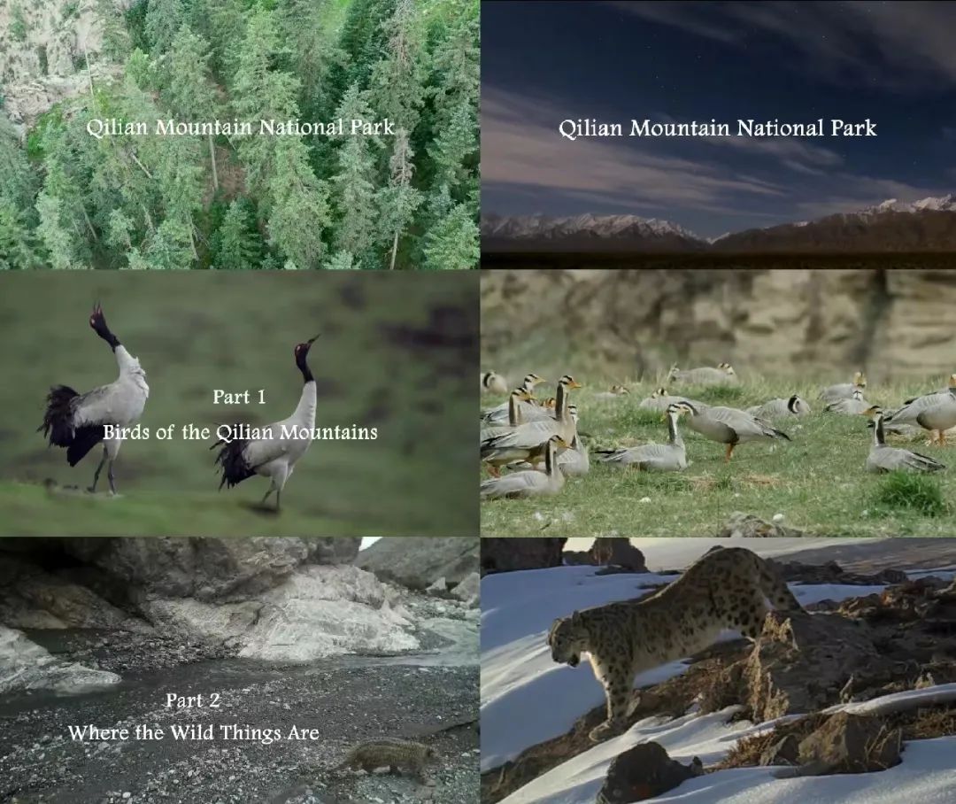 �҇���ѝM�M�����_�o䛴�Ƭ�ڸ۟Ქ