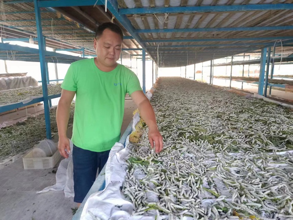 ���߿��������Q����ѩɏ�z