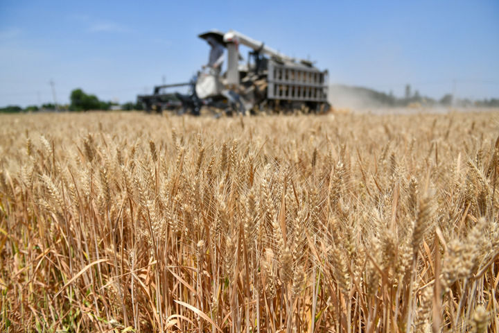 ���Aҕ�c�����P�I�������Ї������g��