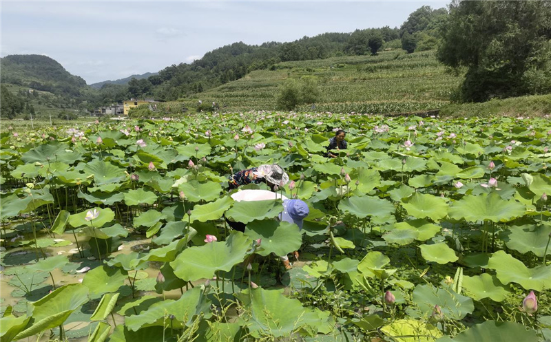 ����ϣ������Ұ�ϡ��ؑc��ˮ��һ������һ���ˡ��L���¸��{�D