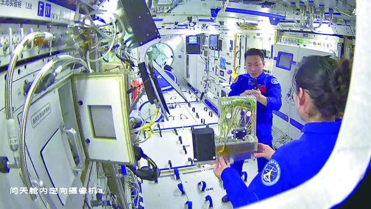 ��ʮ���������Mһ���x���Ї��Ĵ���