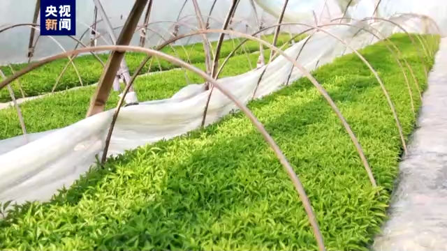 ���r(n��ng)�����ˮ������ش������a(ch��n)���¡�����(d��ng)�I��