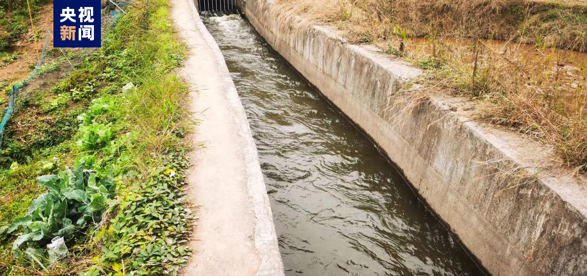 ���r(n��ng)��������ˮ������ش������a(ch��n)���¡�����(d��ng)�I��