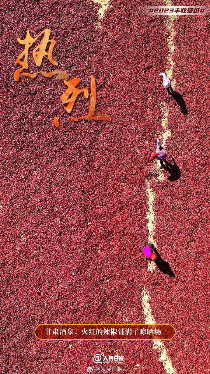 ����S�մ�أ������˱ڼ�