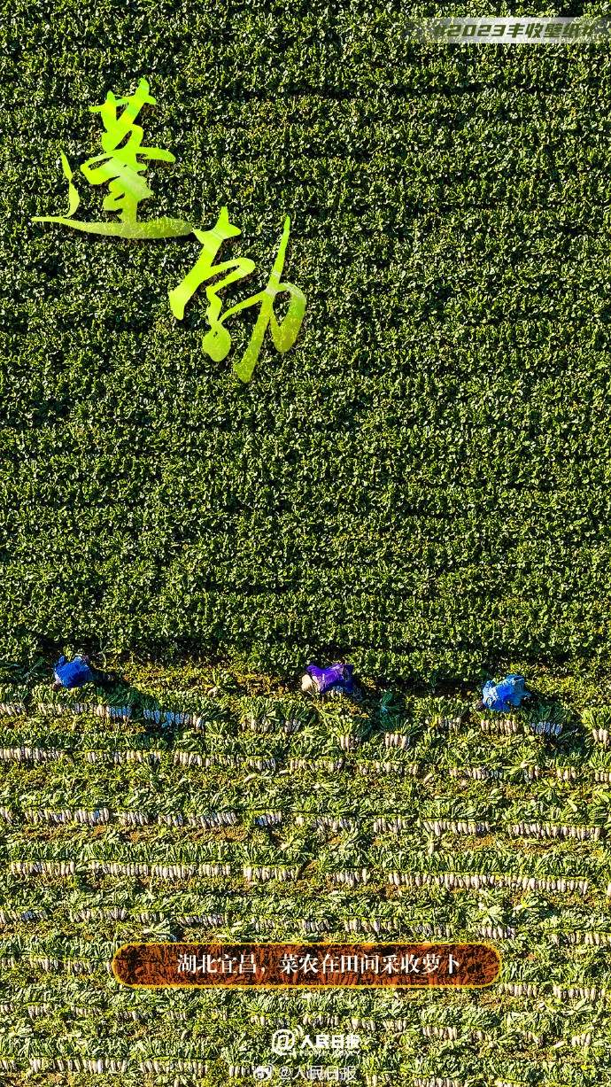 ����S�մ�أ������˱ڼ�