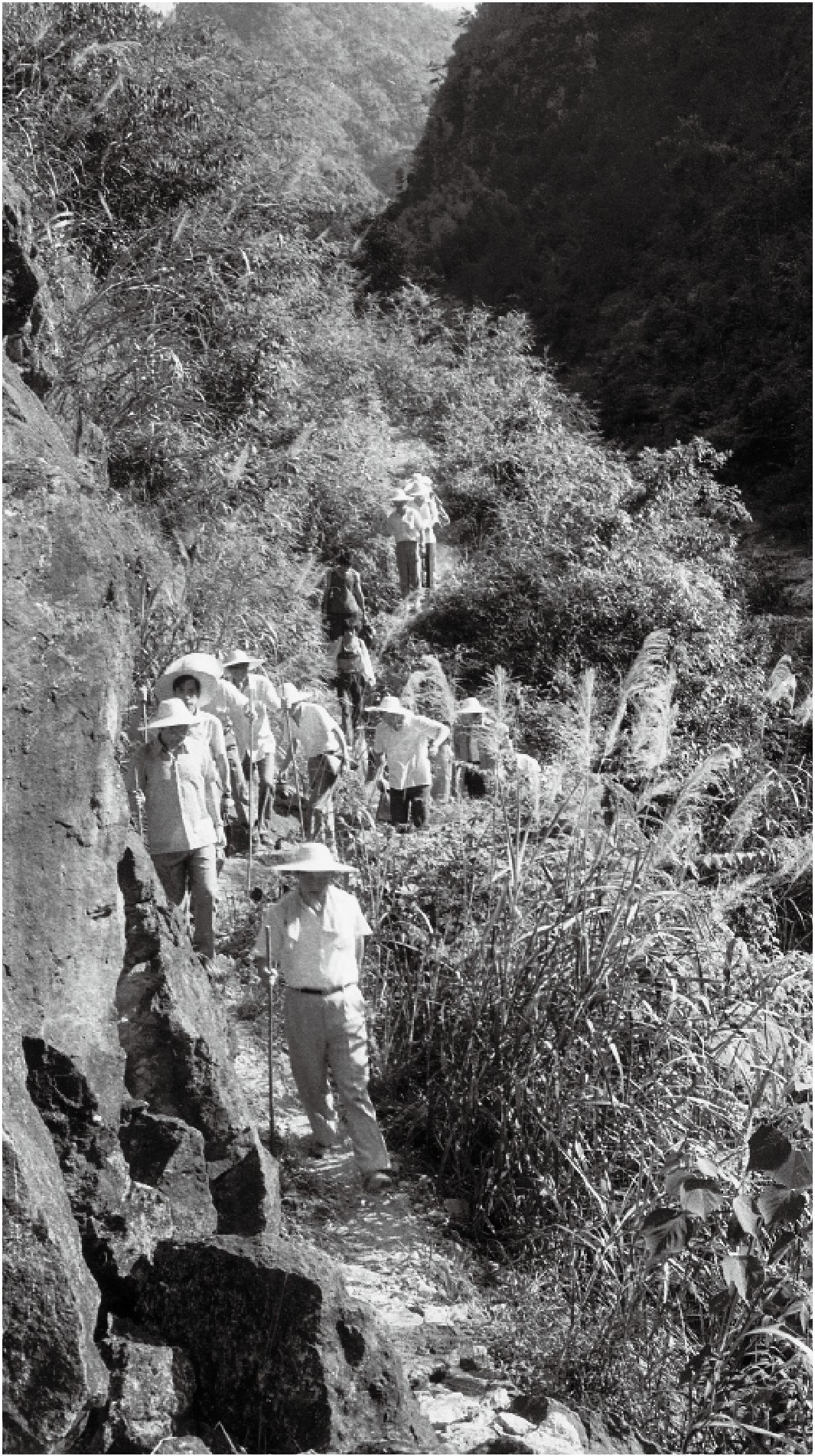 1989��7�£���(x��)��ƽһ�е��ی��h���h�l(xi��ng)�{(di��o)�С�