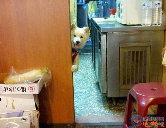  �I�B����ُ�I���_�����˹�̽�^�u��������ȥ�ϰ�