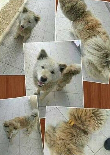  �I�B����ُ�I���_�����˹�̽�^�u��������ȥ�ϰ�