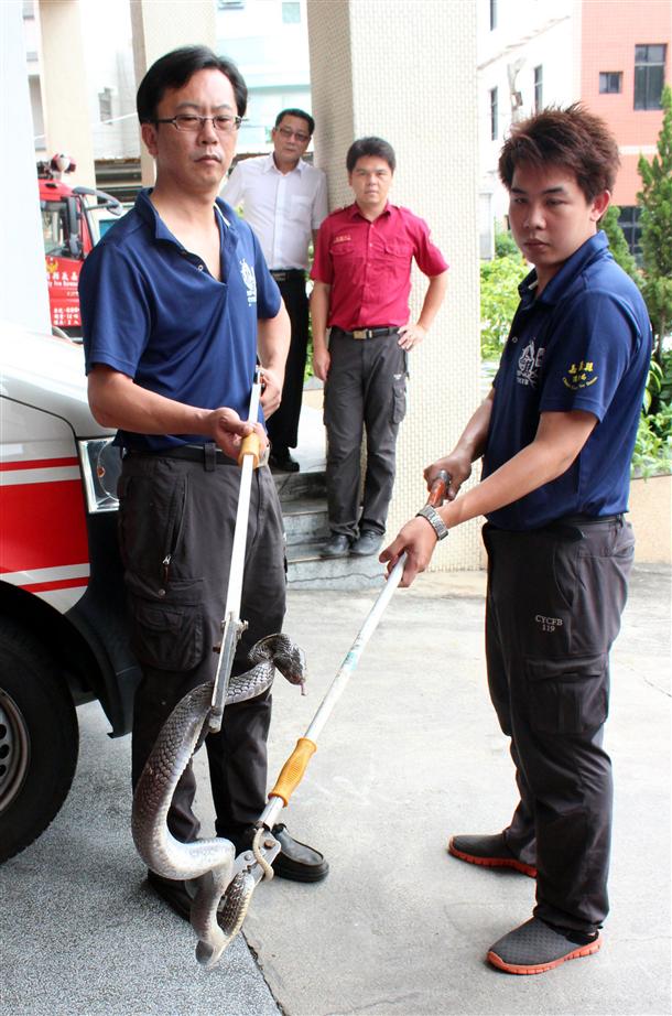 �����ˆTʹ�M���N�������������1�l�L��1�����R�ߡ�