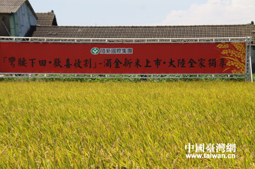 ���ո�ĝ���ף��Ї��_���W ʏͬ �z��