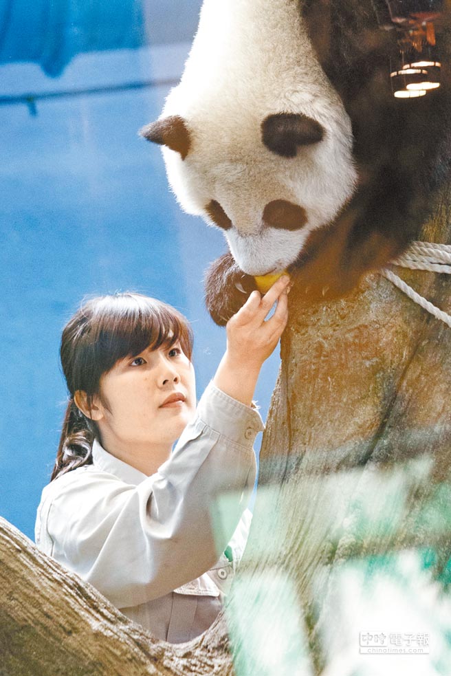 ��؈�����A�н�M�ܚq �T�����L��