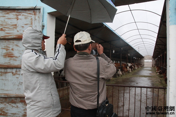 臺南市兩岸公共事務(wù)交流協(xié)會專家學(xué)者參觀沙河鎮(zhèn)養(yǎng)牛場。 臺南市兩岸公共事務(wù)交流協(xié)會專家學(xué)者參觀沙河鎮(zhèn)養(yǎng)牛場。