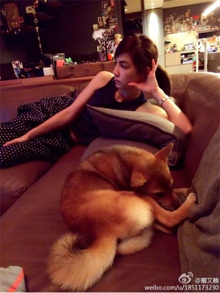 Ella�Ϲ��ɡ����޿�ħ�� ΢������ދ���������