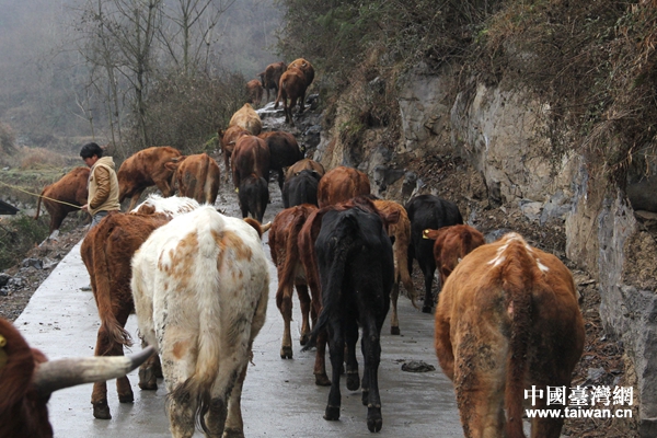 �����L����悈��P���B������ؚ�����J���Bֳ��ţ�����Ї��_���W ������ �z��