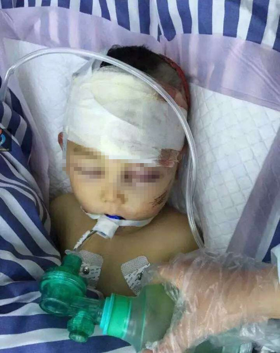 �����ӵ�����ժ�e�� �^���ٴu�^�p�p����(�D)