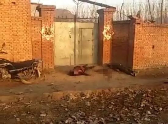 �ع��c���ӵ��ڼ��T��