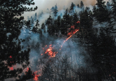 ɽ�֜���T���ʑ��½^�ھȻ� ϴ������Ҹ�