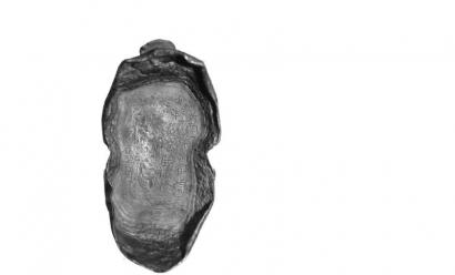 �����������y�V