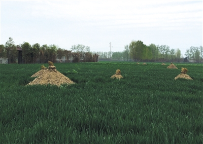 ���켯����r�������������˱���ĉ��^��