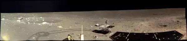 與孤獨斗爭972天 那只頑強的兔子永遠離開了我們