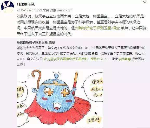 與孤獨斗爭972天 那只頑強的兔子永遠離開了我們