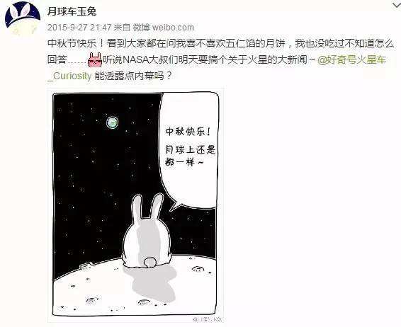 與孤獨斗爭972天 那只頑強的兔子永遠離開了我們