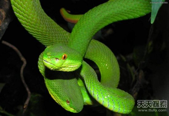 �Ї�ʮ�������а�