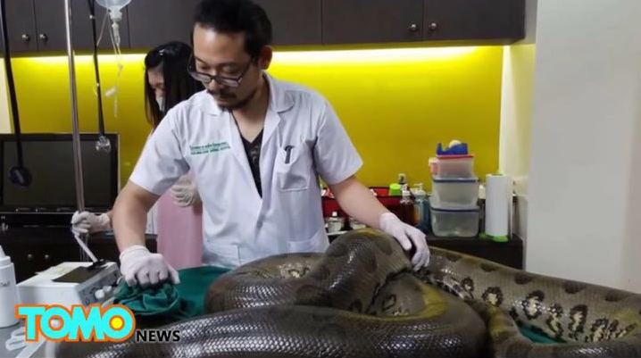 52������������K�[�����g �г�1�����[��