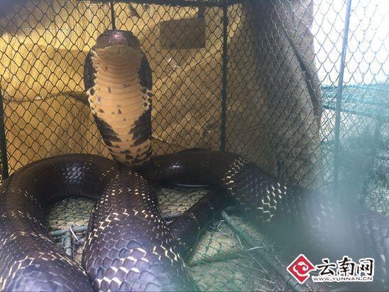 ����2.4�����R����ռ�ݞ��� �෽�����ܫ@����