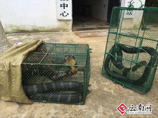 ����2.4�����R����ռ�ݞ��� �෽�����ܫ@����