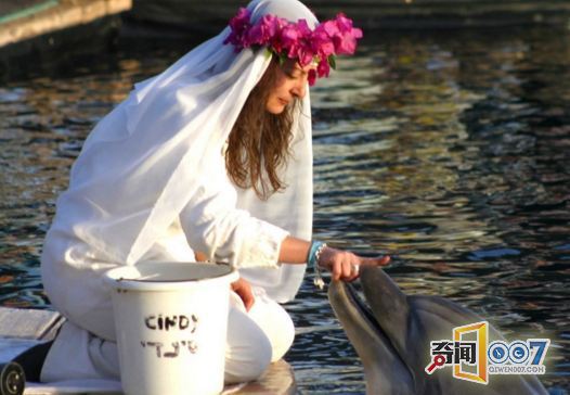 ���f�����c35�q����Y�� �����һ��