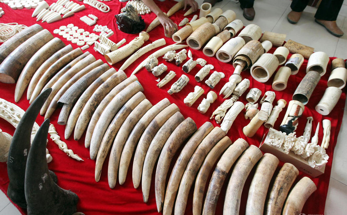 �����ƫ@Ұ��������Ʒ�� ����Ϭţ�ǳ�1200�f