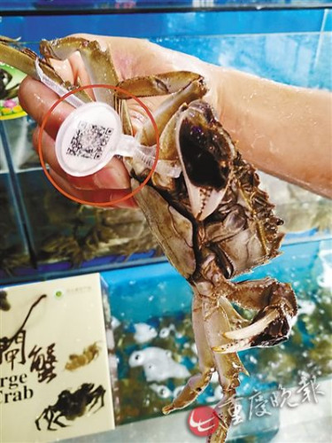 ꖳκ����lз��δ���_���ա�������Ѵ�Ҏ(gu��)ģ����