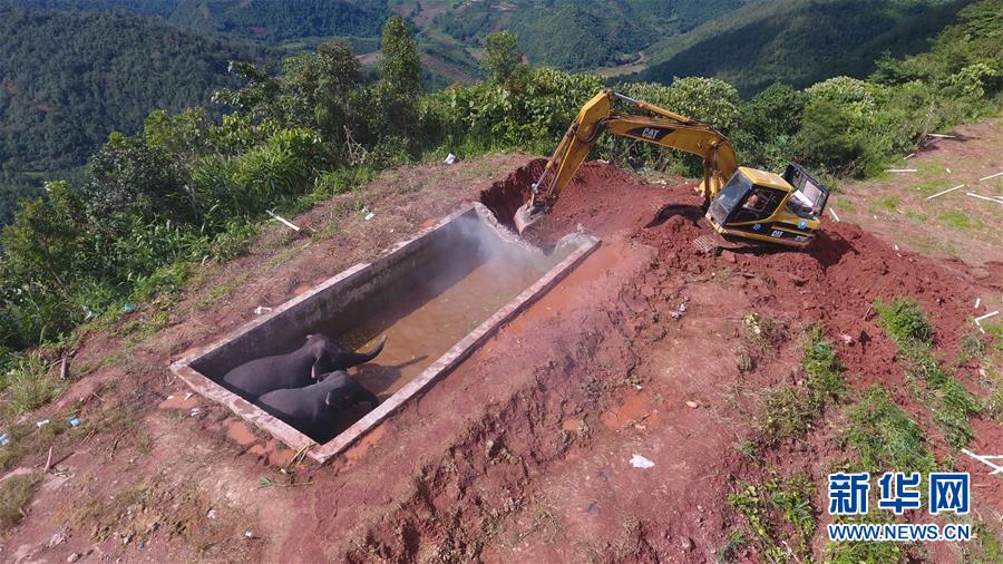 ����ˮ�������Ԯӛ����ֱ���C���ھ�C݆���ψ�(�M�D)