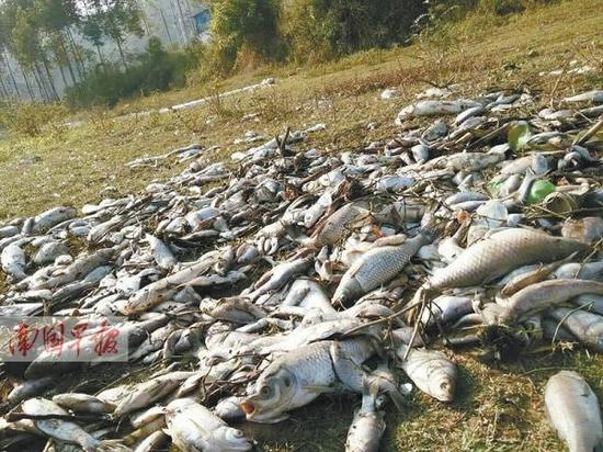 ������������~�� �~�������D