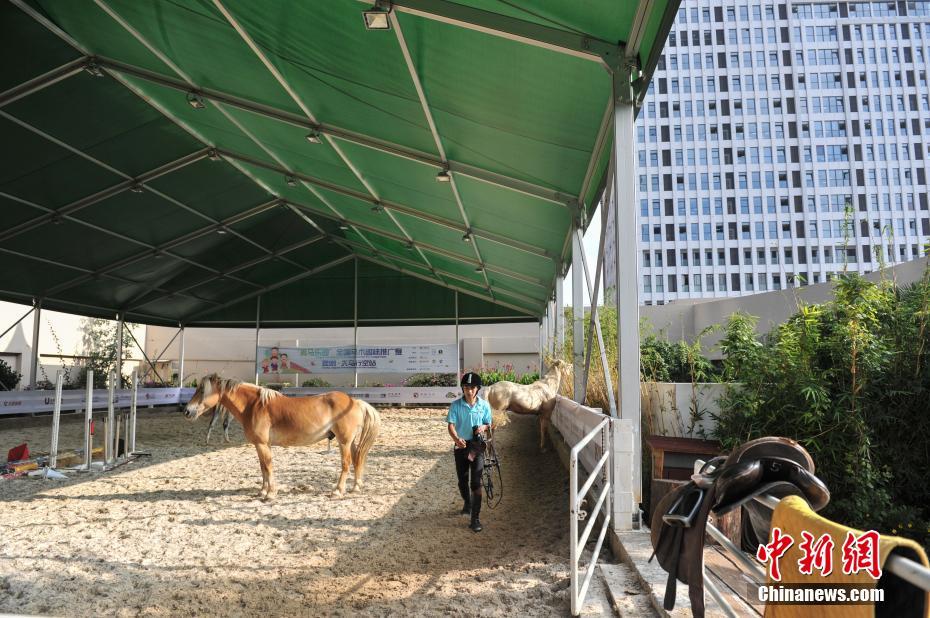 ����һ�̈�(ch��ng)픘ǬF(xi��n)���R�g(sh��)�\(y��n)��(d��ng)��(ch��ng)�� �����w�(y��n)����T�R