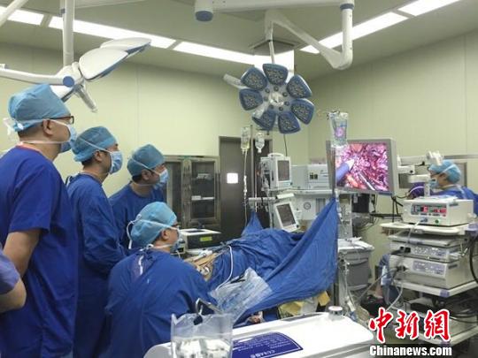 ������ξ����t����ɸ��y�ȸ�ǻ�R�»��w����ֲ���g