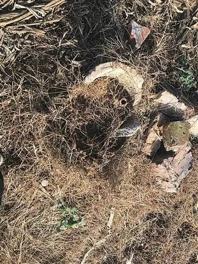 ���x�°l(f��)�ز��h̎,һ�ھ����ѽ�(j��ng)�Ɠp�Ŀݾ�,�����ڻĲ��g