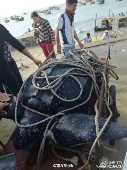 �D����΢��