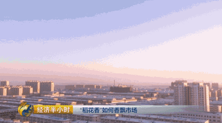 種水稻也能當(dāng)