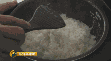 種水稻也能當(dāng)