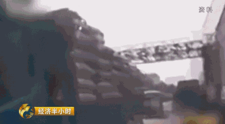 種水稻也能當(dāng)