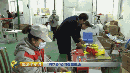 種水稻也能當(dāng)