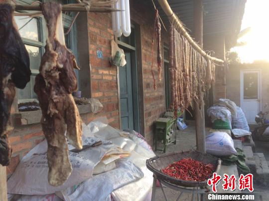 云南普洱:“90后”傣族小伙春節返鄉記