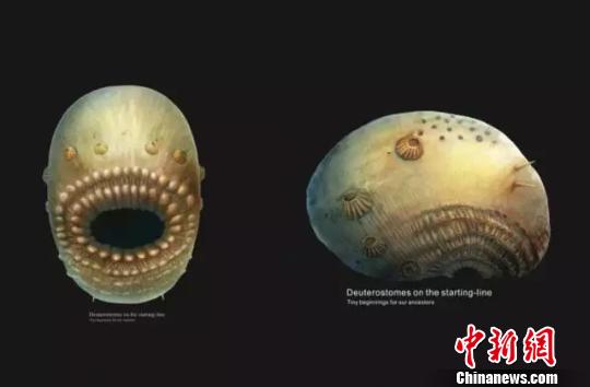 ������W���ЈF�������l�F��΢������h�����H��