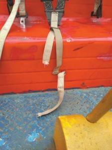 13�q��Ů�Θ��������@�r87�f�¼�3���Ɇ�����