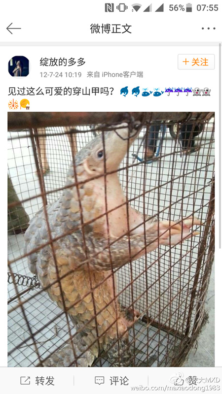 �W�ѣ��ɐ۵Ĵ�ɽ����Ҳ���ĳԣ�