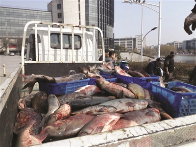 1000�๫����~��m���_ʳ��