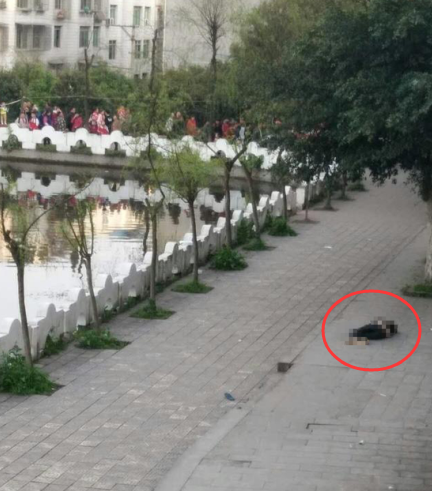 ��(du��)���w���ΰl(f��)���߉�������֮ǰ���׽�(j��ng)�v��ʲô�������·Q(ch��ng)�������C(j��)�P(gu��n)�����{(di��o)�顱��